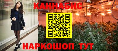 крисы Гудермес