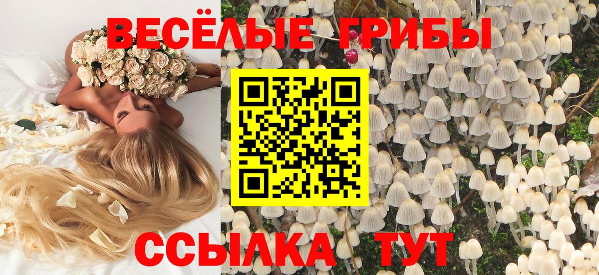 Галлюциногенные грибы GOLDEN TEACHER Аша