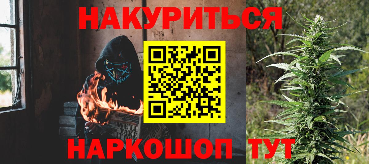 Канабис сатива Аша